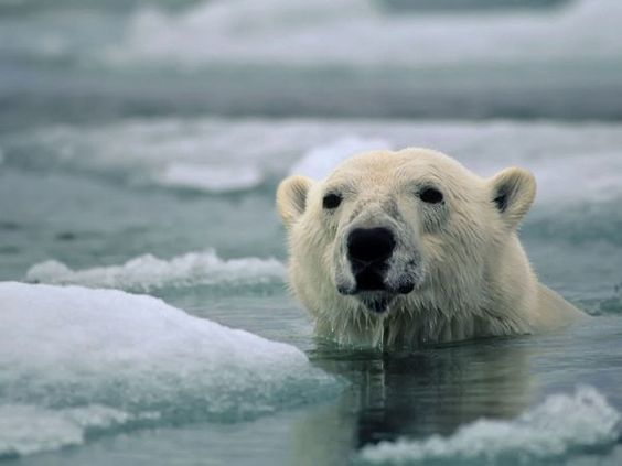 В тихом омуте черти больше не водятся