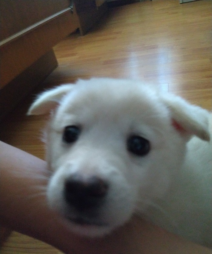 �������.