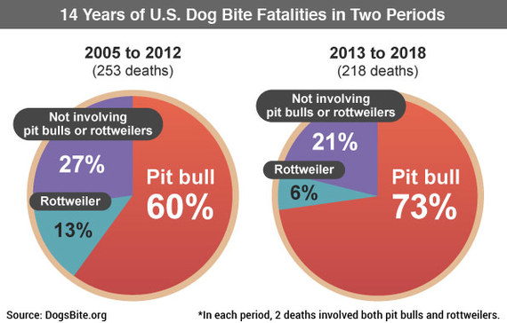 Породы собак которые чаще всего нападают на людей статистика