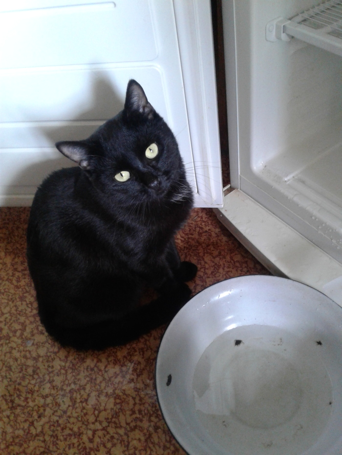 ����� ����