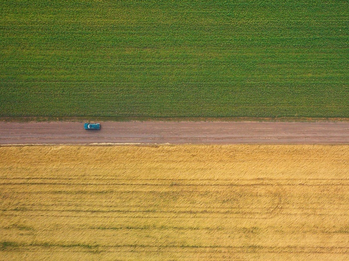Summer minimalist post - My, The photo, Summer, Field, Wheat, Minimalism, Drone, Quadcopter, Road