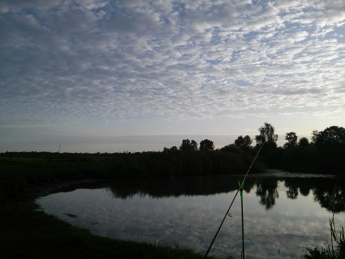 morning perches - My, Fishing, Perch, Spinning, Retractable leash, Longpost