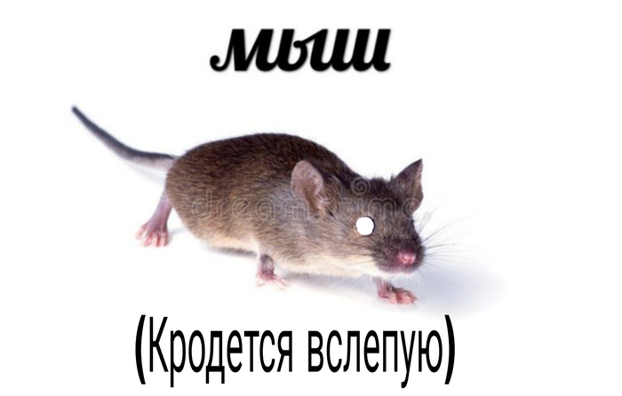 крабовые палочки что мем. Смотреть фото крабовые палочки что мем. Смотреть картинку крабовые палочки что мем. Картинка про крабовые палочки что мем. Фото крабовые палочки что мем