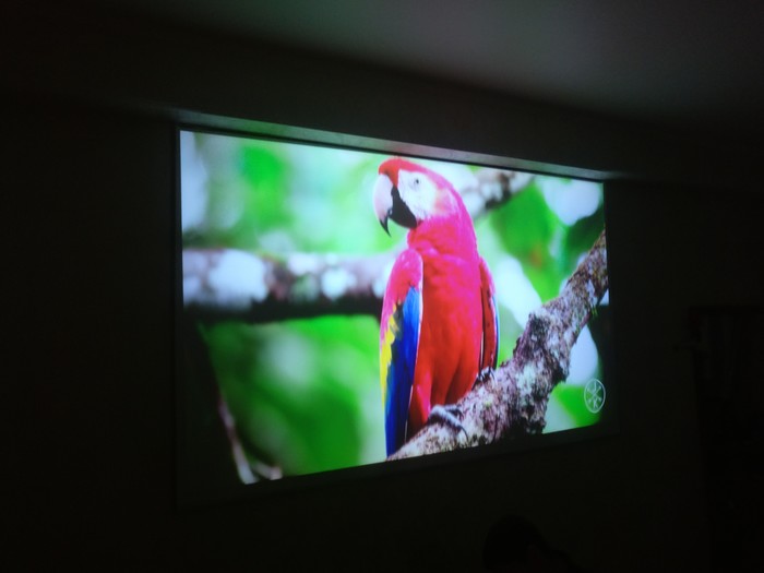 Натяжной потолок, как экран для проектора. Проектор, ПВХ, Натяжные потолки, Длиннопост