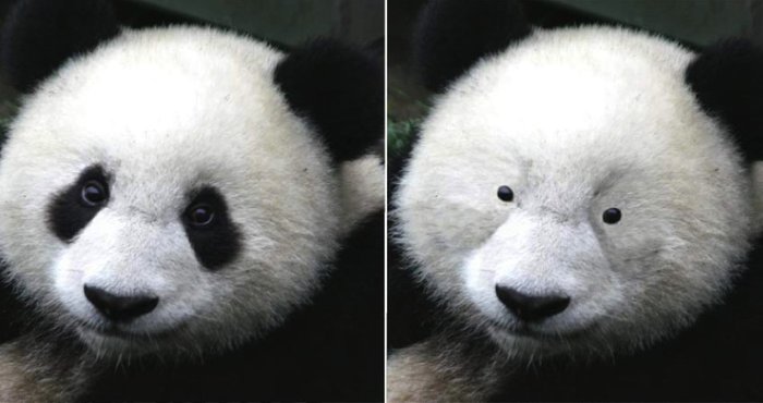 Будни типографии#3 Типография, Шрифт