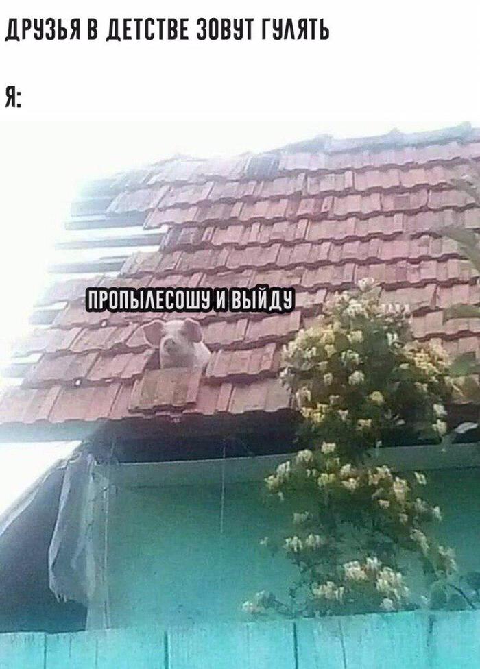  , , , 