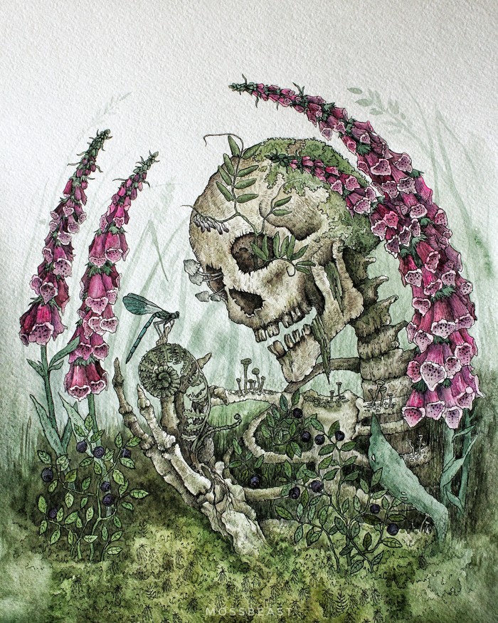 Digitalis - My, Foxglove, Skeleton, Blueberry, Forest, Watercolor, Moss, Longpost, Drawing, Plants