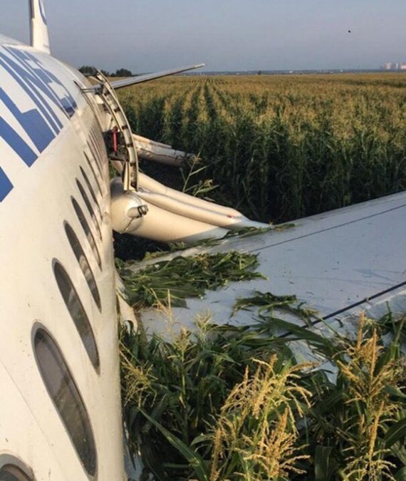 Ural Airlines landed in a field. - civil Aviation, Emergency landing, Ural Airlines, Longpost