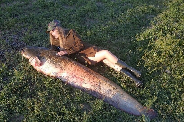 Siberian woman caught a fish that is 12 kilos heavier than herself - Fishing, Catch, A fish, , Novosibirsk, Volga river, Longpost, Siberians
