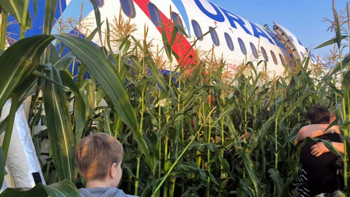 How garbage gulls Airbus A321 planted in a cornfield - news, Longpost, Incident, Airbus, Aviation, Pilots of the Russian Federation, Sputnik news, civil Aviation