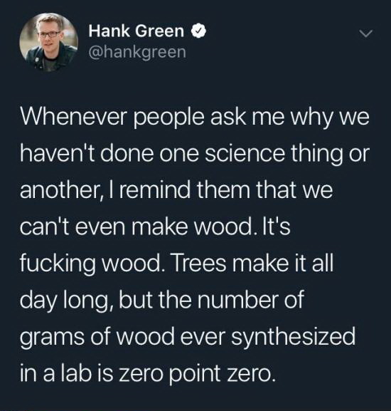 And yet science cannot explain why, after stirring the tea, the tea leaves “collect” in the center of the bottom of the glass) - The science, Tree, Wood, Twitter, Progress, Synthesis