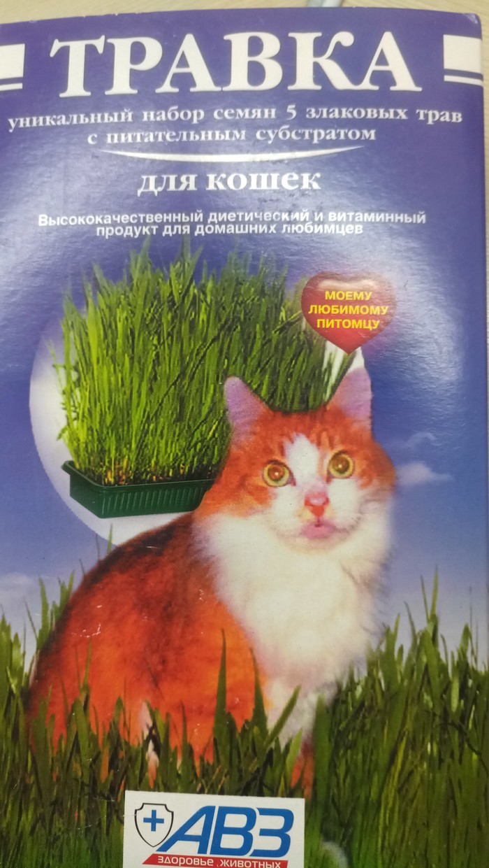 Grass - cat, Grass, Longpost, Grass