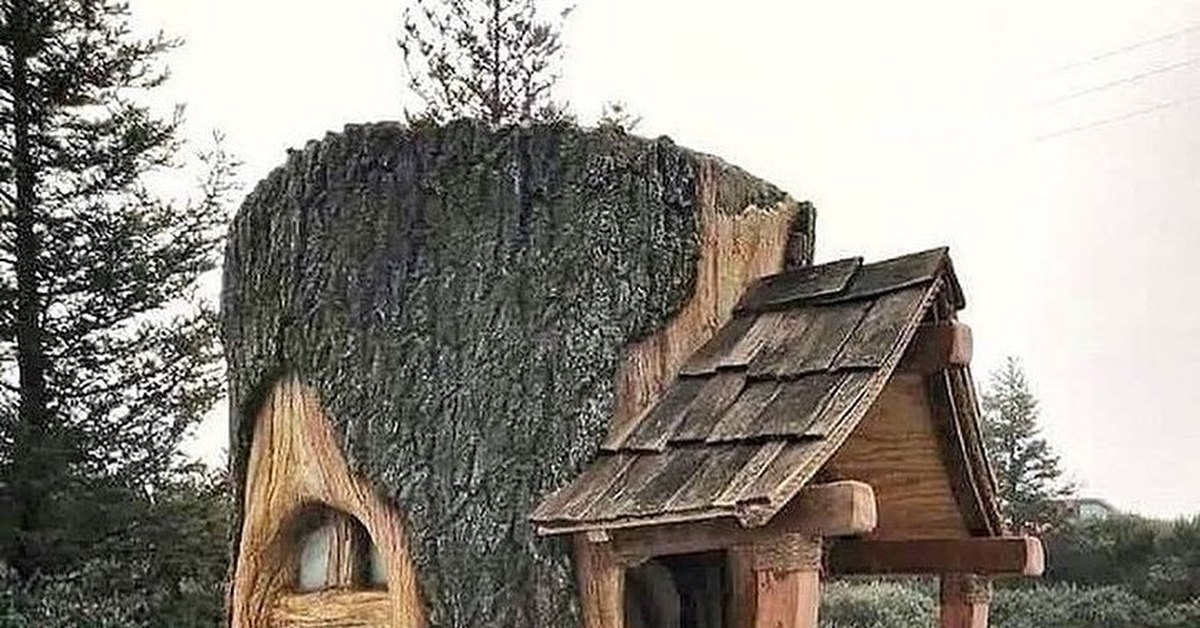 Дом лешего картинки