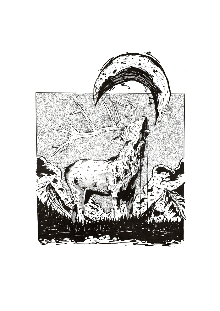 Der Hirsch im Walde - My, Deer, Drawing, Pen drawing, Animals, Deer