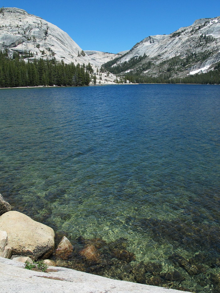 Lake Tenaya - Lake, Nature, Travels