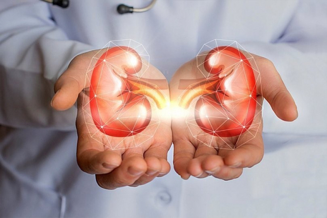 CKD 5 stages - My, Chronic renal failure, Disease, Longpost