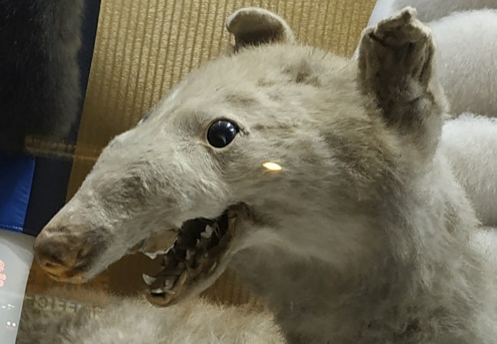 скажи пожалуйста как меня зовут. Смотреть фото скажи пожалуйста как меня зовут. Смотреть картинку скажи пожалуйста как меня зовут. Картинка про скажи пожалуйста как меня зовут. Фото скажи пожалуйста как меня зовут скажи пожалуйста как меня зовут. Смотреть фото скажи пожалуйста как меня зовут. Смотреть картинку скажи пожалуйста как меня зовут. Картинка про скажи пожалуйста как меня зовут. Фото скажи пожалуйста как меня зовут