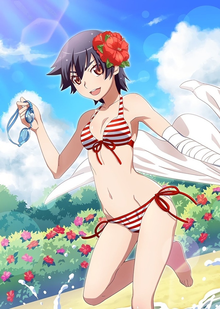 Summer season ends - Anime, Anime art, Monogatari series, Hachikuji Mayoi, Shinobu oshino, Kanbaru suruga, Ougi Oshino, Longpost