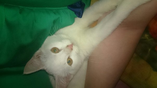 ��������� ������� �� ������ (�����)