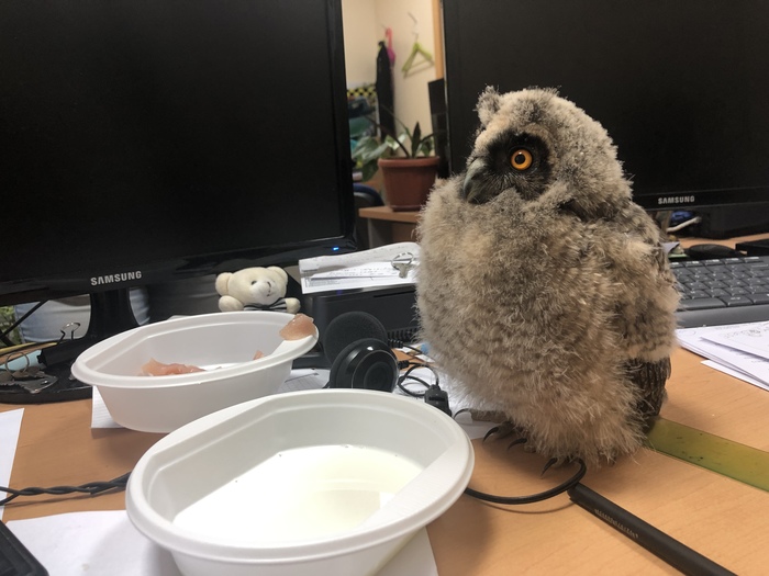 ����������� �������� � ������