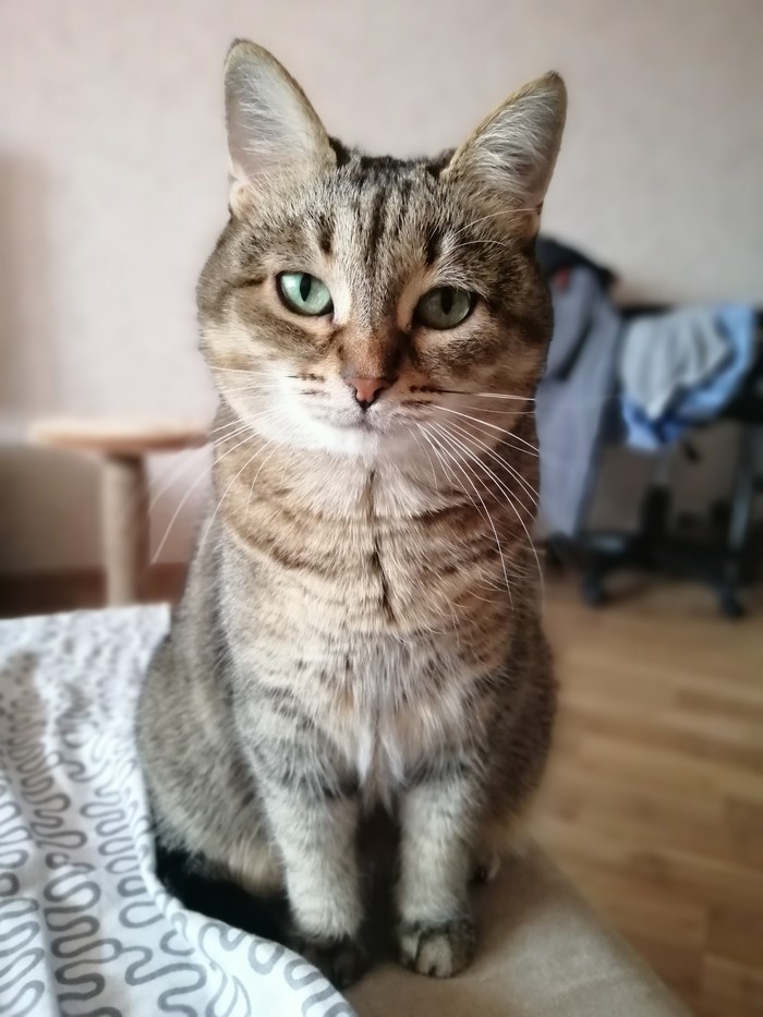 Скучаю по коту что делать. Смотреть фото Скучаю по коту что делать. Смотреть картинку Скучаю по коту что делать. Картинка про Скучаю по коту что делать. Фото Скучаю по коту что делать Скучаю по коту что делать. Смотреть фото Скучаю по коту что делать. Смотреть картинку Скучаю по коту что делать. Картинка про Скучаю по коту что делать. Фото Скучаю по коту что делать