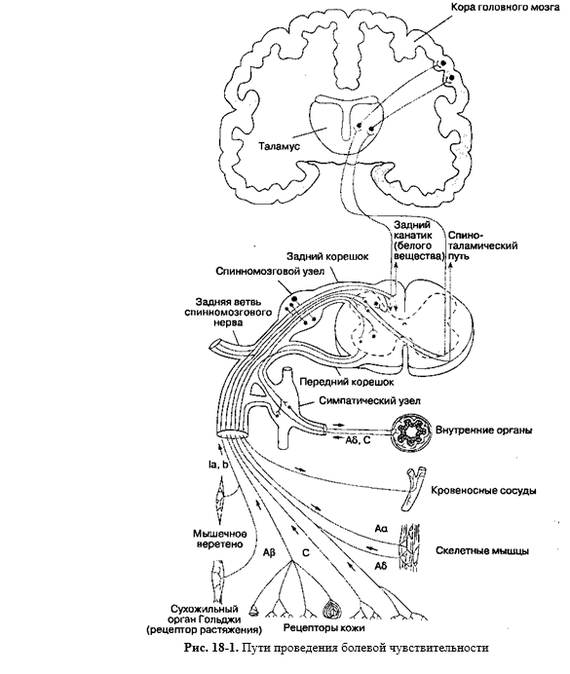 Pain. - The medicine, Yoga, Longpost