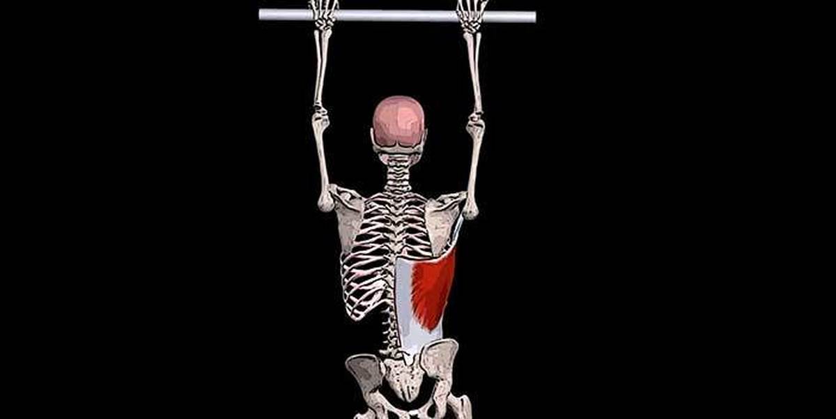 Боль в широчайшей мышцы спины симптомы thumbnail