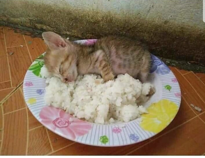 Котлетка с пюрешкой