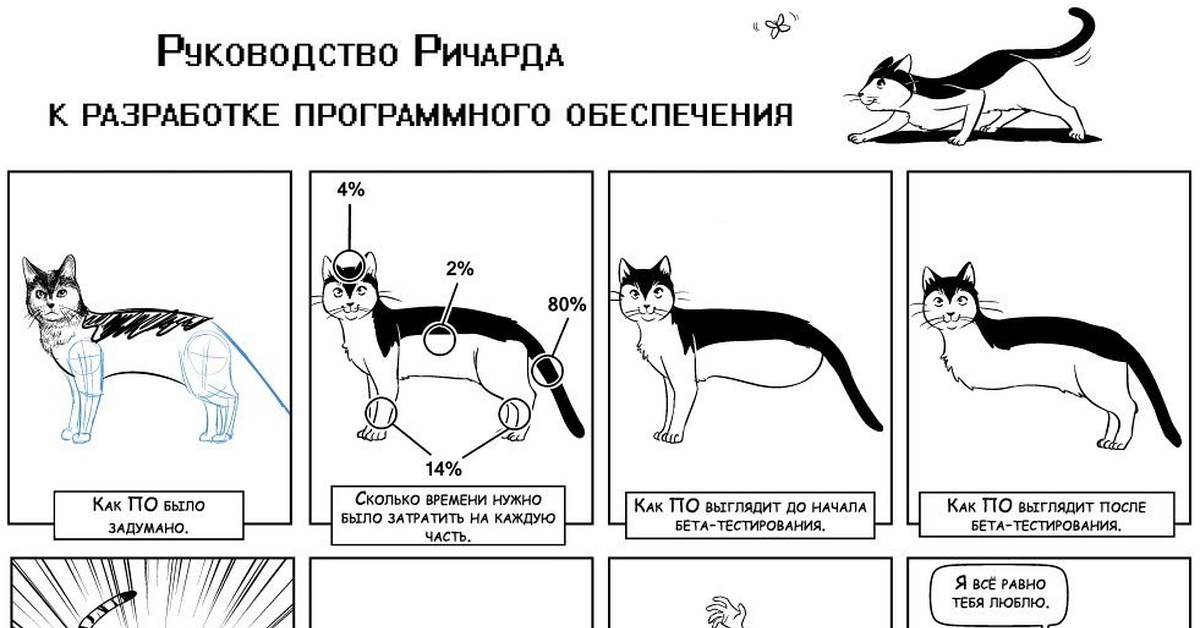 Заказчик выполняет. Разработка программного обеспечения прикол. Этапы разработки проекта юмор. Как видит Разработчик и пользователь. Разработчики и пользователи котята мемы.