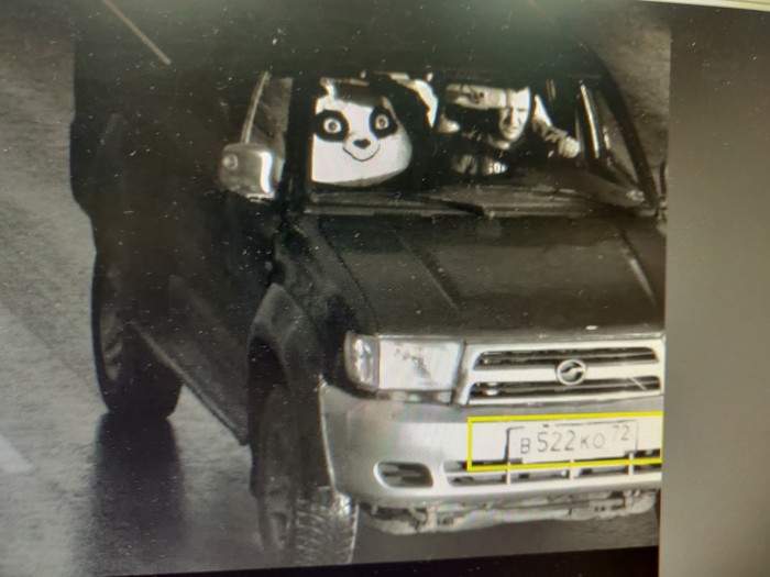 Liam Nielson stole a panda - My, The photo, Panda, Liam Neeson, The escape