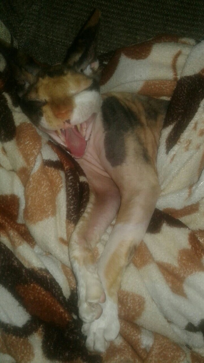 ��������� ���� �����������!)