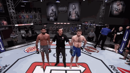 Well, something like this! - Humor, GIF, Victory, Uncertainty, MMA, Ufc