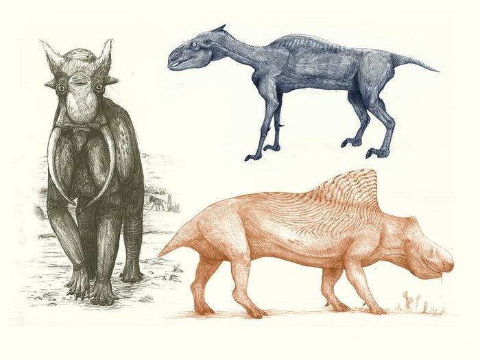 This is what an elephant, a zebra and a hippopotamus would look like if they were depicted based only on the skeleton, like dinosaurs - Dinosaurs, Theory, Images, Paleontology