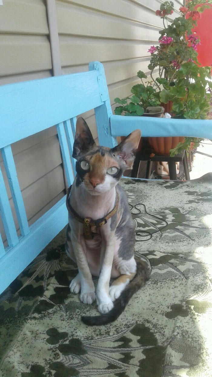 ������ ����!