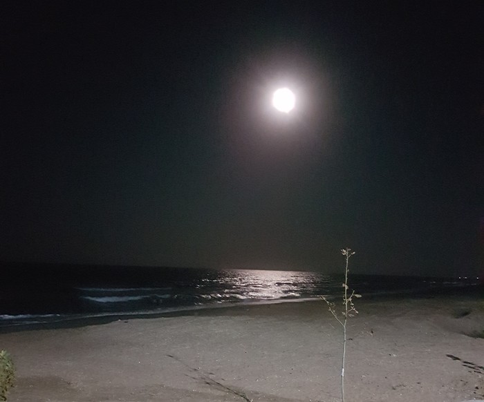 Каспийское море