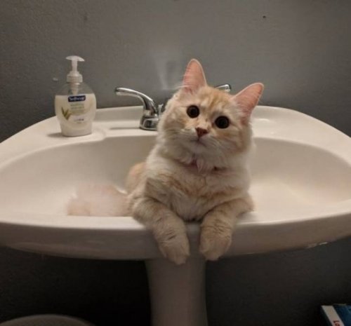 Ну и чего надо?