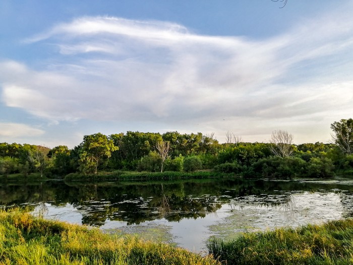 Прогулка по берегу реки Орь. - Моё, Река, Мобильная фотография, Длиннопост