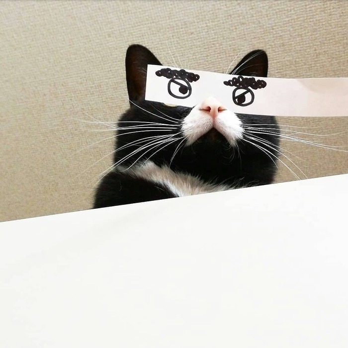  , , 
