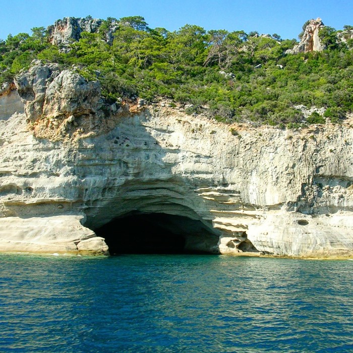 ������ ����, ������ ����