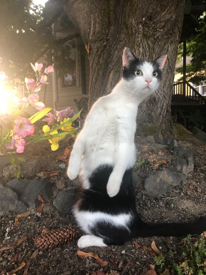 ����� ������ ������ ��� ����