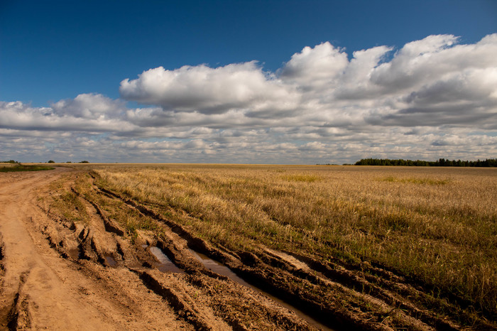 Last days of summer - My, Beginning photographer, Field, End of summer, Canon 4000d, Longpost