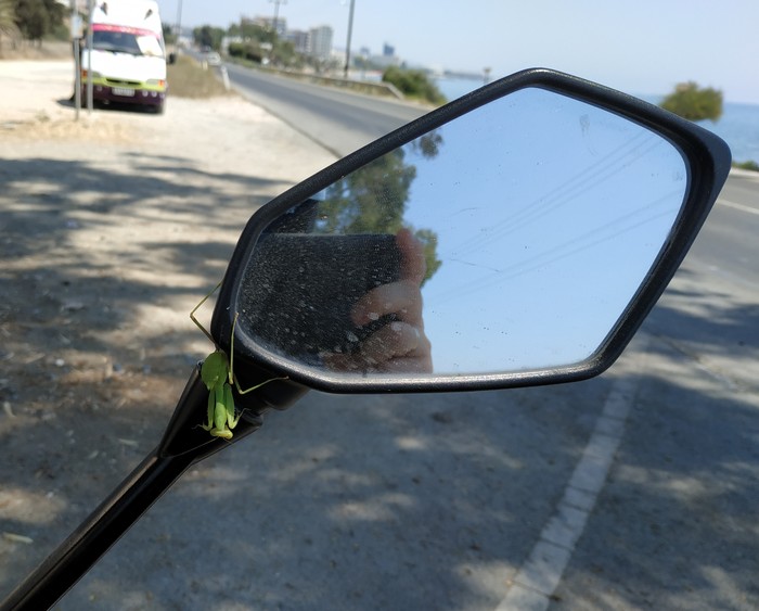 ����������� ��������