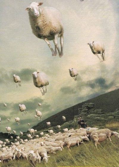 Artist Michael Sowa - Art, Drawing, , A selection, Longpost