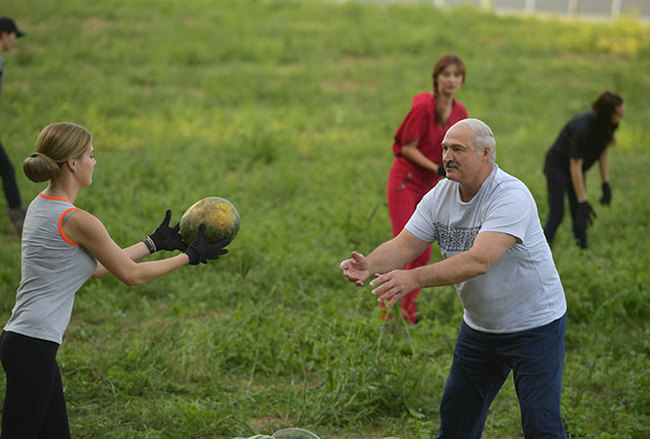 After a business meeting, Lukashenka went to pick watermelons. - Republic of Belarus, Alexander Lukashenko, , Bt, Window dressing, Video, Longpost