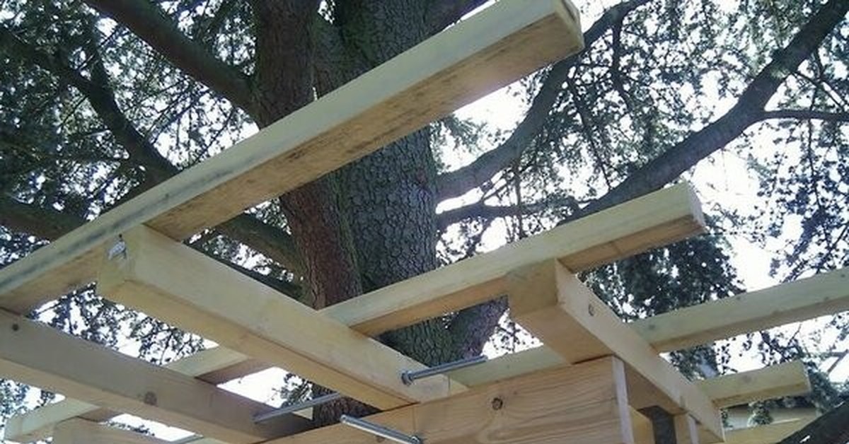 Крепление к стволу дерева. Крепеж на ствол дерева. Крепеж для домов на деревьях. Крепеж для домика на дереве. Крепеж для домов на деревьях.