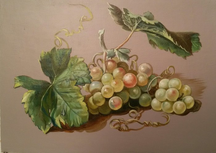 Looking for a book - My, Looking for a book, Illustrations, Grape, Frogs