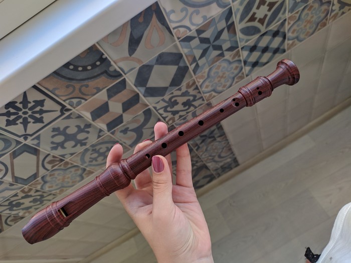 Bad gift. Help me understand what kind of flute this is. - Flute, Presents, Help