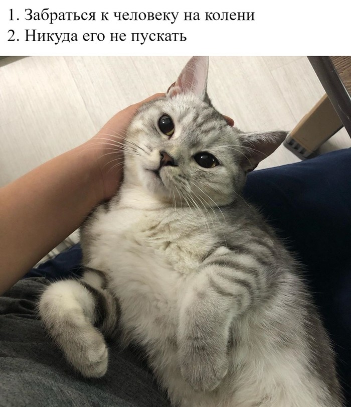  ,  , , 