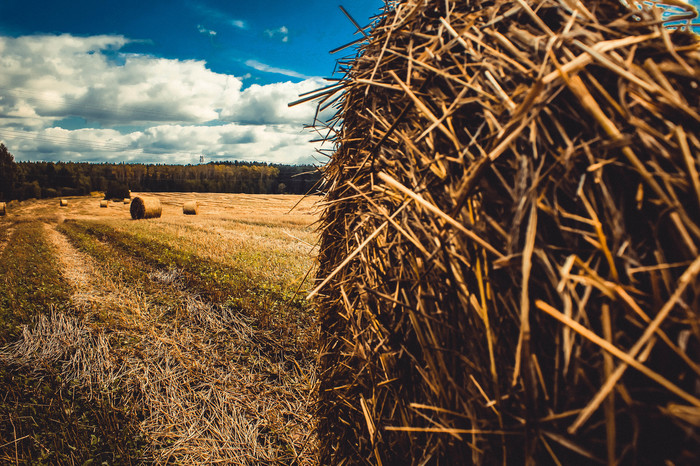 Sheaves of hay.. - My, Beginning photographer, Hay, Field, Canon 4000d, Filter, Longpost