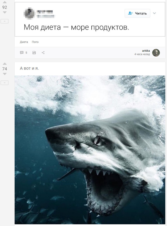 Coincidence - Coincidence, Screenshot, Shark